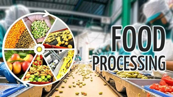 FOOD-PROCESSING_800x450