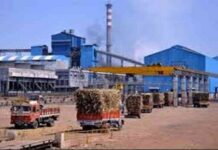 બારડોલી જી.આઈ.ડી.સી. bardoli-gidc-south-gujarat-industrial-gate