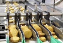 food-processing-machinery-industry-of-gujarat