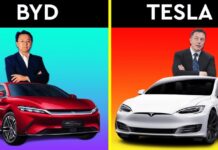 byd-vs-tesla