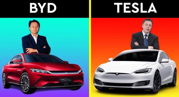 byd-vs-tesla